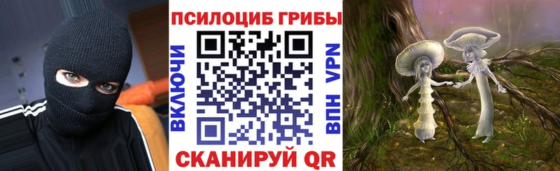 Галлюциногенные грибы ЛСД  Гурьевск 
