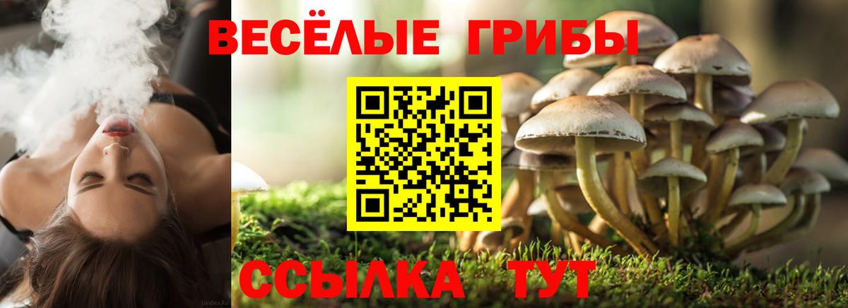 Псилоцибиновые грибы ЛСД Гурьевск