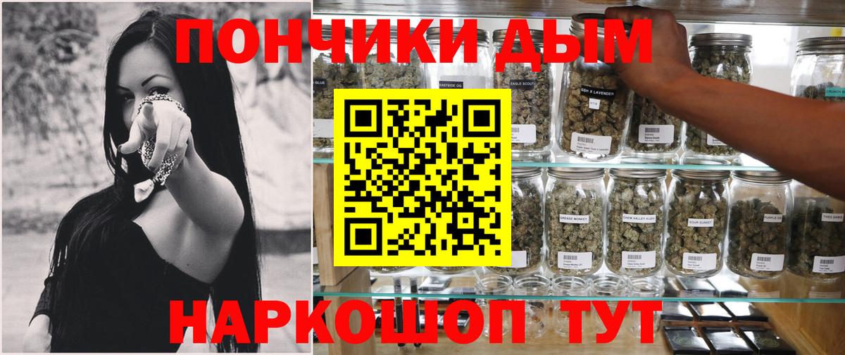 Бошки Шишки план  Каннабис Ganja  Гурьевск  Шишки марихуана SATIVA & INDICA 