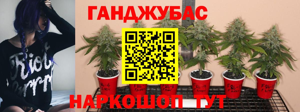 Гурьевск  Бошки Шишки ГИДРОПОН  МАРИХУАНА семена  Вход с VPN  Бошки марихуана Amnesia 